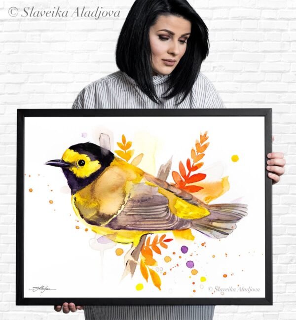 Hooded warbler
