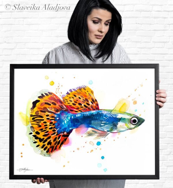 Guppy, Rainbow fish
