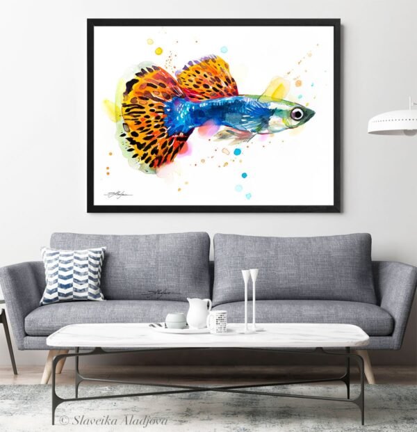 Guppy, Rainbow fish