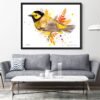 Hooded warbler