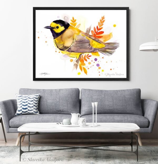 Hooded warbler