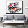Black and white Koi