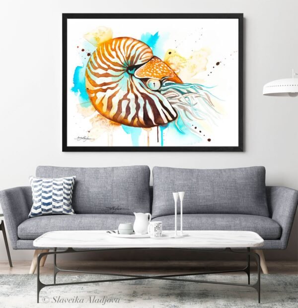 Chambered nautilus