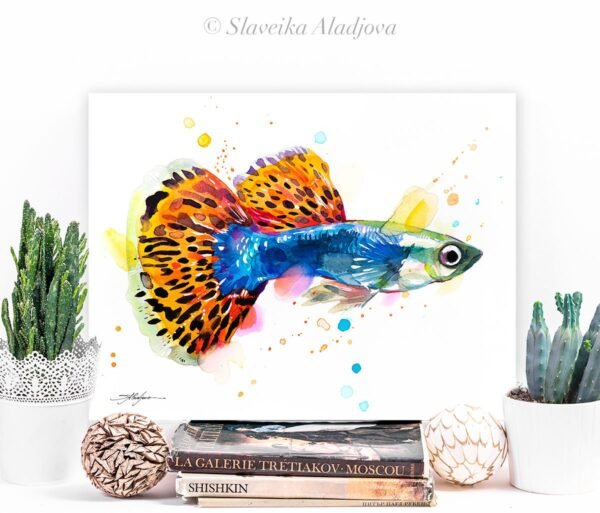 Guppy, Rainbow fish