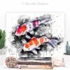 Black and white Koi