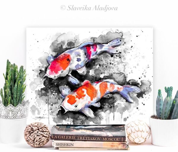 Black and white Koi