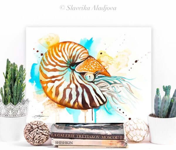 Chambered nautilus