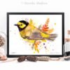 Hooded warbler