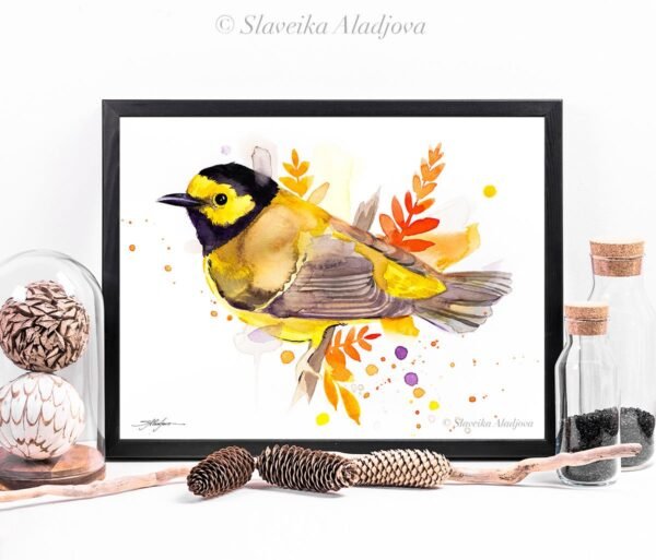 Hooded warbler