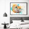 Chambered nautilus