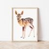 Baby Deer Watercolor