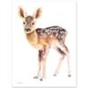 Baby Deer Watercolor