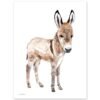 Baby Donkey Watercolor Print Baby Donkey Watercolor Print