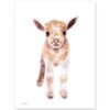 Baby Goat Watercolor Print Baby Goat Watercolor Print