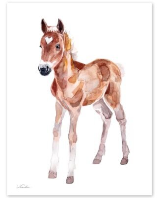 Baby Horse Watercolor Print