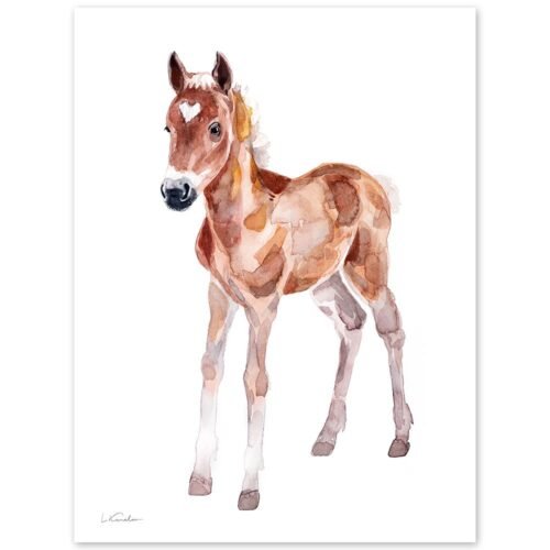 Baby Horse Watercolor Print