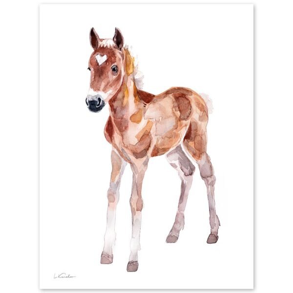 Baby Horse Watercolor Print