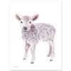 Baby Lamb Watercolor Print Baby Lamb Watercolor Print