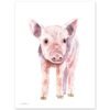 Baby Pig Watercolor