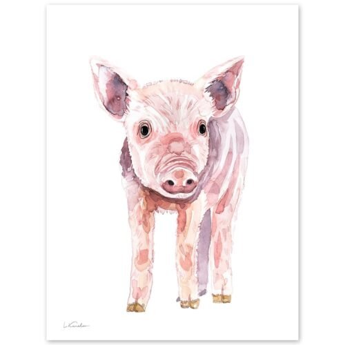Baby Pig Watercolor