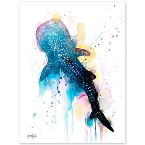 Whale shark