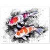 Black and white Koi