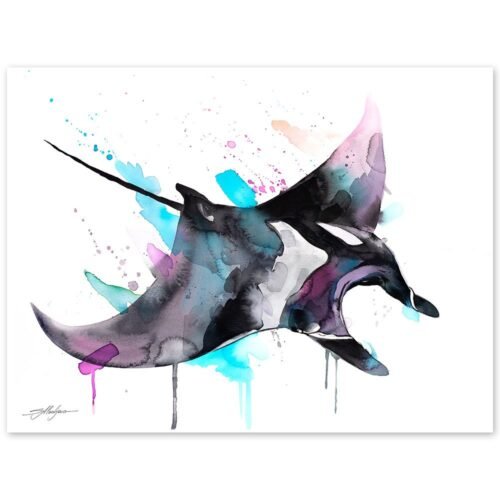 Giant Manta Ray, Mobulidae