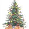 Christmas tree Christmas tree