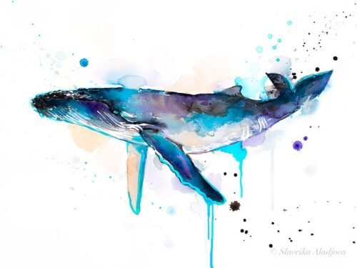 Humpback whale