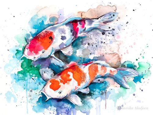 Koi