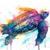 Leatherback sea turtle