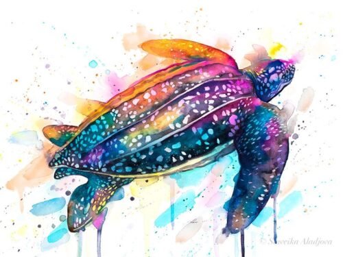 Leatherback sea turtle