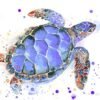 Purple Sea turtle