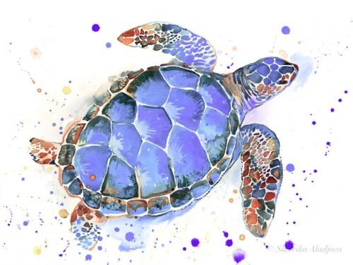 Purple Sea turtle