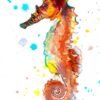 Seahorse