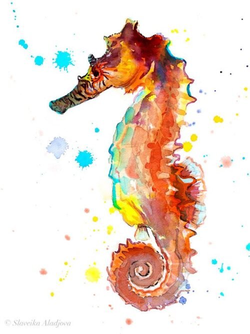 Seahorse