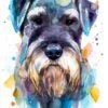 Schnauzer Schnauzer