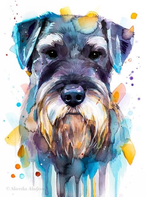 Schnauzer