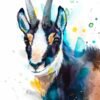 Chamois