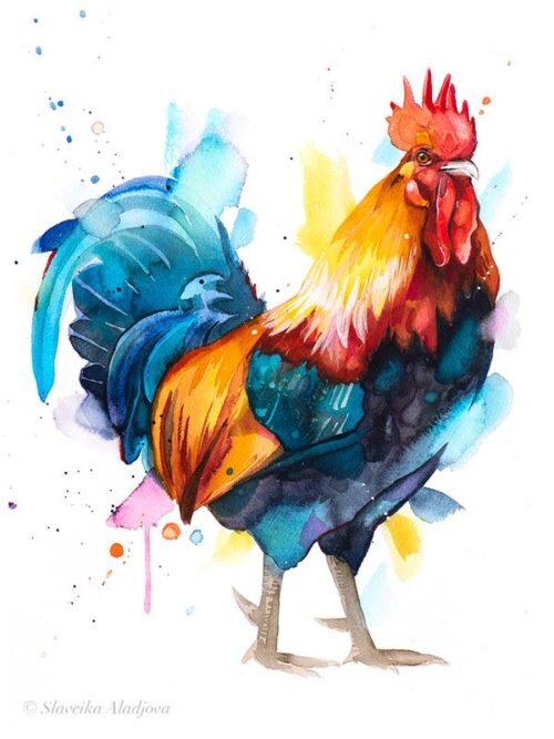 Rooster