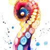 Octopus Tentacle