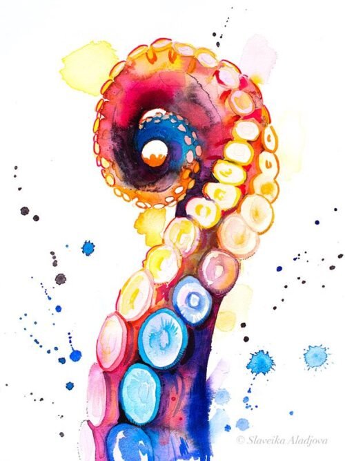 Octopus Tentacle