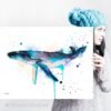 Humpback whale