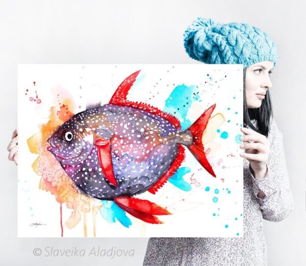 Opah, Moonfish, Sunfish