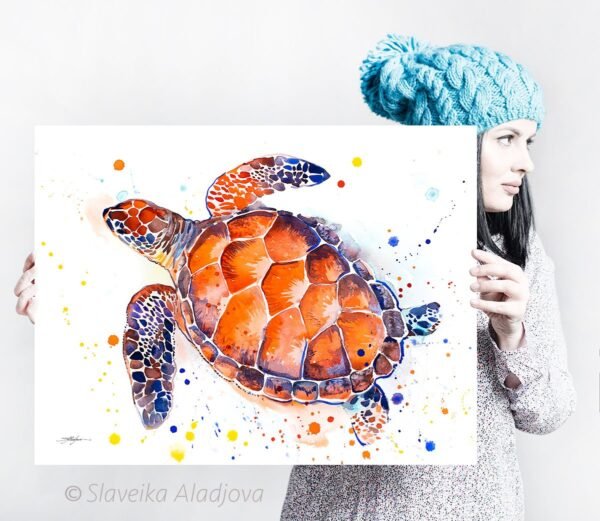 turtle
