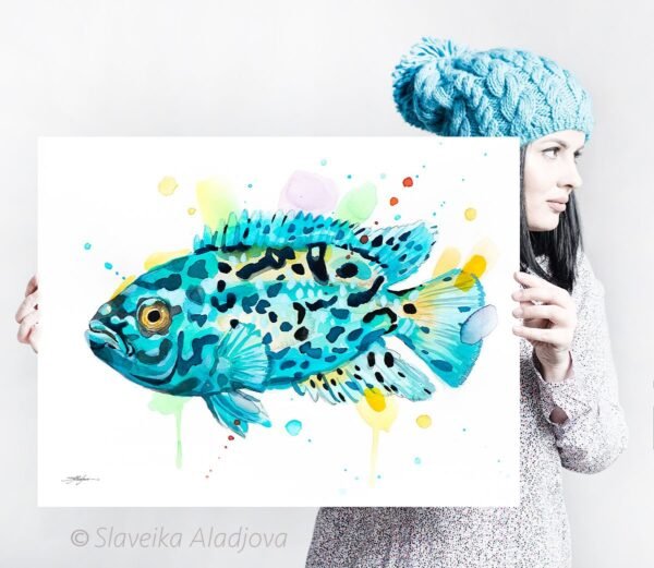 Electric Blue Jack Dempsey Cichlid