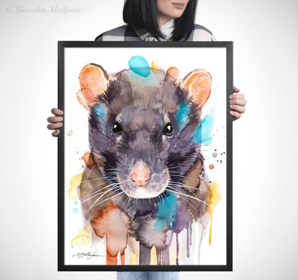 Rat