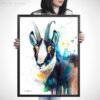 Chamois