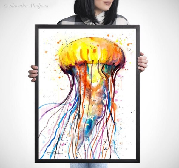 Jellyfish
