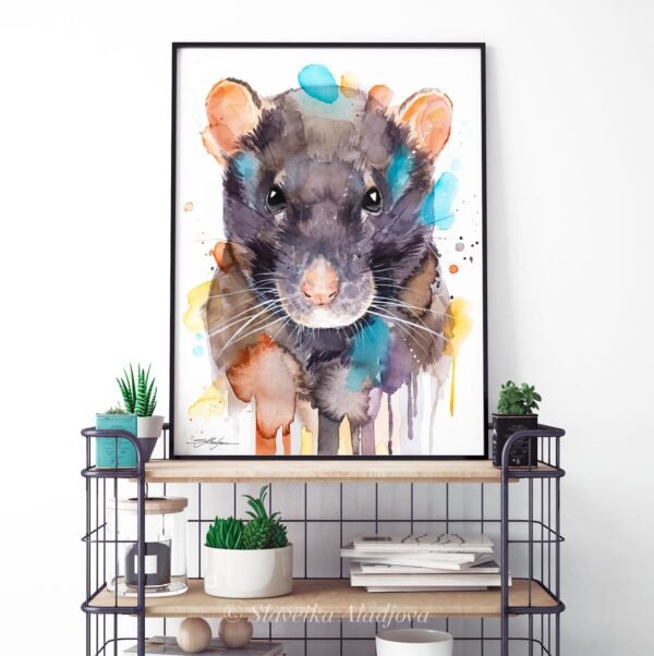 Rat
